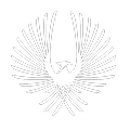 FMG Logo Icon
